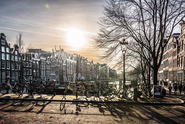Autunno Ad Amsterdam